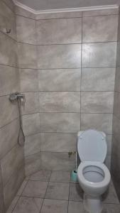 a bathroom with a toilet and a shower at Зачаровані Карпати, Воловець in Volovets