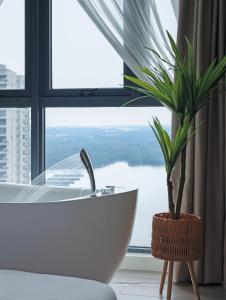 Příroda nedaleko apartmánu