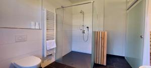 a bathroom with a glass shower and a toilet at albgut GmbH - Übernachten im Kulturdenkmal Altes Lager Hotel BT7 und BT9 in Münsingen