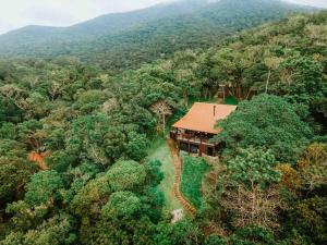 an aerial view of a house in the middle of a forest at Odoyá Cabana à beria-mar in Governador Celso Ramos