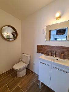 a bathroom with a toilet and a sink and a mirror at La Maison du pont in La Roche-sur-Yon