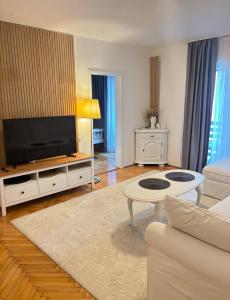 モスタルにあるBonita Apartmentsのソファとテレビのあるリビングルーム