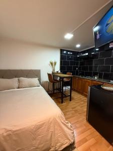 Ảnh trong thư viện ảnh của Punta Arenas loft ở Punta Arenas +2 ảnh