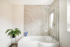a white bathroom with a tub and a potted plant at Double Room in Luxury High Trees Development in Donaghadee