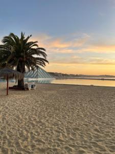 una playa con dos palmeras y un edificio en San Alfonso Del Mar, Algarrobo, en Algarrobo