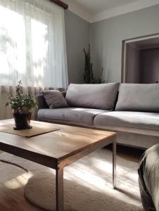 a living room with a couch and a coffee table at MIKO apartament in Mikołów