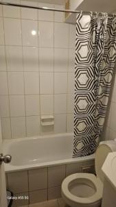 ein Badezimmer mit Toilette und Duschvorhang in der Unterkunft apartment Santiago downtown Paseo Bulnes in Santiago