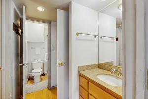 un bagno con lavandino e WC di Saddle Road Condo a Bijou Park Altre 11 foto