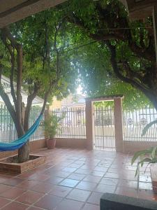 a patio with a hammock under a tree at Casa yamulemao in Cartagena de Indias