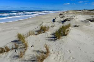 a beach with grass in the sand and the ocean at Tranquilidad en playa paradisiaca a pasos del mar in La Esmeralda 