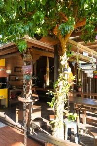 Restoran atau tempat lain untuk makan di Cabanas da Lagoa
