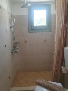 a bathroom with a shower with a window and a toilet at Bracciera Lipsi Apts 3 in Lipsoi