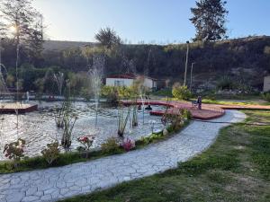 巴耶纳尔Cabañas Licanantay的公园里一个带喷泉的池塘