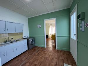 een groene keuken met een wastafel en een wasmachine bij Inmuebles V&S - Casita Alberdi in Río Gallegos +7 foto's