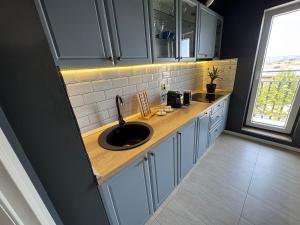 a kitchen with a sink and a counter at Blue Oasis in Ştefăneştii de Sus
