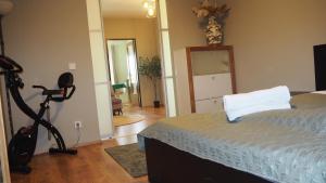 - une chambre avec un lit et un vélo d'appartement dans l'établissement Bohamian Dream, à Vienne