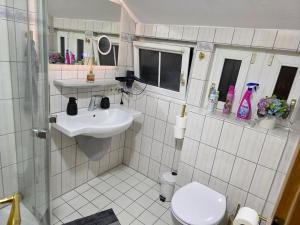 a small bathroom with a sink and a toilet at S&P Dream Apartment in Backnang +33 photos