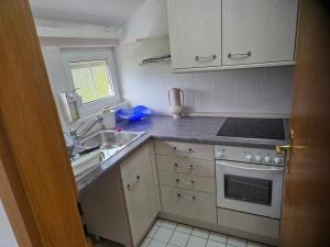a kitchen with a sink and a stove at S&P Dream Apartment in Backnang