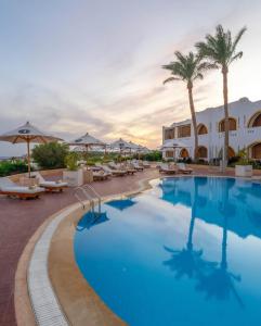 a pool at a resort with chairs and palm trees at Domina Coral Bay Resort Elisir in Sharm El Sheikh