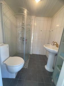 un piccolo bagno con un water e un lavandino di Holiday apartment in Jessheim a Jessheim