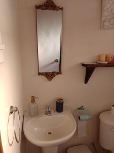 a bathroom with a sink and a mirror and a toilet at Cabaña Puipuyen Yerbas Buenas  +21 photos
