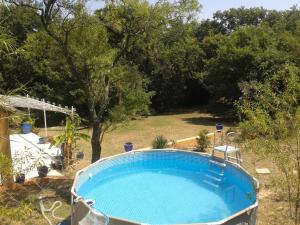 a large swimming pool in a yard with trees at Entre Nîmes et Arles in Bellegarde