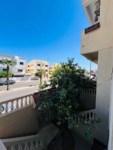 un balcon avec une plante sur le côté d'un bâtiment dans l'établissement Appartement luxe 2 Chambres 5 min du Centre Ville, à Fès 12 autres photos