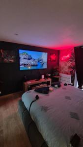 ein Schlafzimmer mit einem großen Bett und einem Fernseher an der Wand in der Unterkunft LoveRoom le moutik du bord de mer avec SPA et sauna parking gratuit in Lampaul-Plouarzel