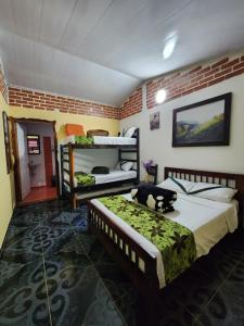 a bedroom with two bunk beds and a cat on the bed at Casa Turística Art-Vélez Salento in Salento
