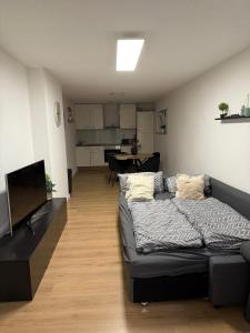 シファーシュタットにあるStellaのソファとテレビのあるリビングルーム