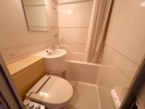 un piccolo bagno con un water e un lavandino di HAKUBA GARDEN Hotel a Hakuba Altre 27 foto