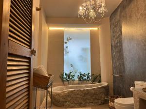 Ένα μπάνιο στο Hostel la Antigua Capsula +48 φωτογραφίες