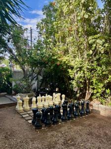 Κήπος έξω από το Oasis luminoso con piscina a un paso del centro