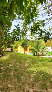 a park with palm trees and a building in the background at Flora Suítes Paraty in Paraty +7 photos