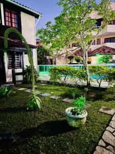 un jardin avec un arbre au milieu d'une cour dans l'établissement Aconchego da praia, à Arraial do Cabo