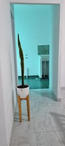 Fotografie z fotogalerie ubytování La Perla v destinaci Concepción