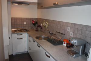 Kuchyň nebo kuchyňský kout v ubytování Apartment Borna