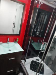 bagno con doccia, lavandino e doccia di Serra da Estrela Superior Dany Flat a Seia