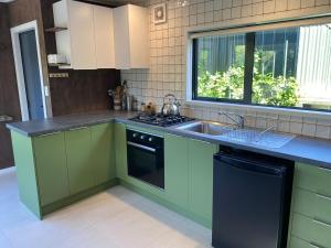 a kitchen with green cabinets and a sink at Nikau Studio in Raglan