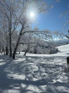 Το Xuegu Nannan B&B τον χειμώνα