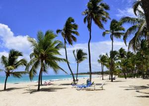 a beach with palm trees and chairs and the ocean at Your ideal getaway awaits! in Punta Cana