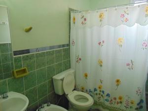 a bathroom with a toilet and a sink and a shower curtain at Rumel Quimey Quipan in Puerto Madryn +39 photos