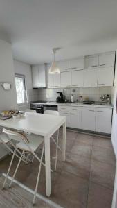 Η κουζίνα ή μικρή κουζίνα στο Cosy and Spacious Family Home in Skopje