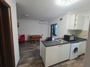 una cocina con fregadero y lavadora en Apartament Parc 1B, en Ploieşti 12 fotos más