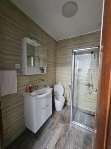 Un baño con inodoro, lavabo y ducha. en Apartament Parc 1A, en Ploieşti