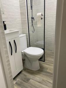 スラティナにあるGarsonieră stil hotel 2のトイレとシャワー付きの白いバスルーム