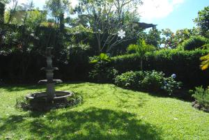 Een tuin van Apart Hotel Valle Verde