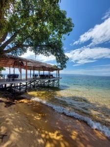 a restaurant on the beach with a tree and the ocean at Siuri Cottages & Restaurant in Tokaimbu
