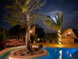 a tree in the middle of a pool at night at Baobab Lagoon in Mtende