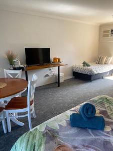 TV a/nebo společenská místnost v ubytování Lakeside Lodge Motel